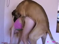 Blonde teen sucks dog dick and have dog sex
